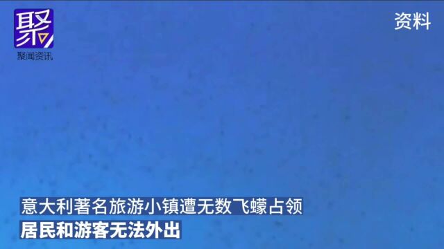 意大利著名旅游小镇遭无数飞蠓占领 居民和游客无法外出