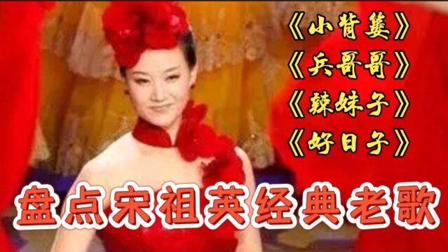 盘点宋祖英经典老歌,歌声清脆明亮,宛转圆润,余音绕梁