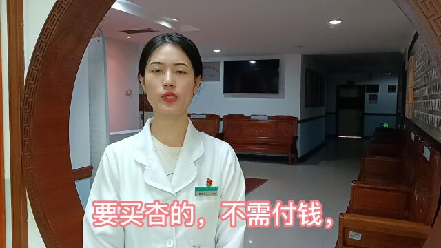 杏林故事——杏林的由来