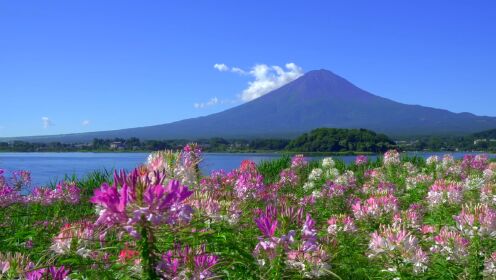 实拍 夏空の富士山 2022