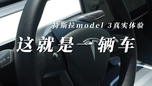 特斯拉model 3真实体验：这就是一辆车！你开新能源车会怕吗？