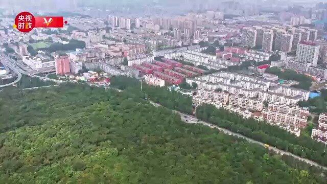 习近平辽宁行丨社区共建 成果共享——走进沈阳市皇姑区牡丹社区