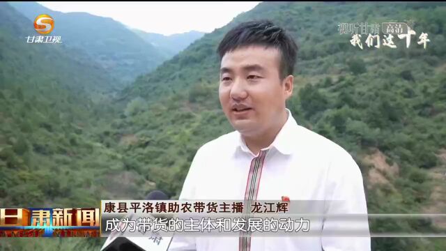 陇南:致富走新路 电商开新局