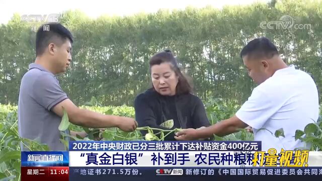 2022年中央财政已累计下达补贴资金400亿元,农民种粮积极性高