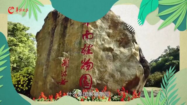 耀眼“绿色”名片!国家植物园建设助推广东生态产业发展