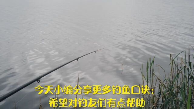 分享更多钓鱼经验和口诀