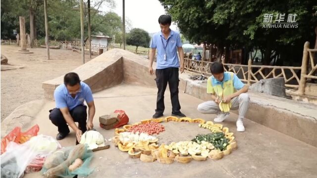 重庆永川:野生动物园为动物制作“特色月饼”