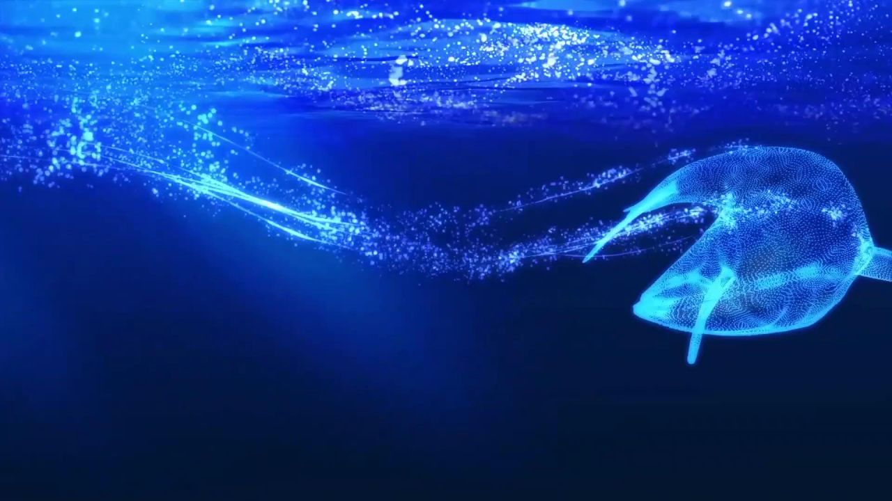 全息投影素材全息鲸鱼裸眼3d视频素材大鱼海棠 沉浸式四折幕投影素材 