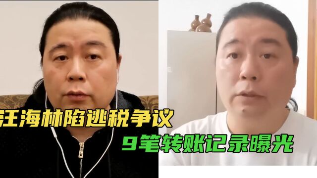 汪海林被曝境外逃税!共9笔转账记录曝光,转账金额暗藏玄机