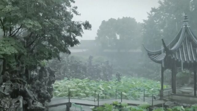 苏州古典园林赏析之狮子林观雨