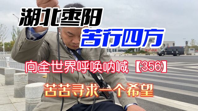 湖北枣阳求助呐喊【356】苦寻一个希望,用苦行去揭穿一个谎言