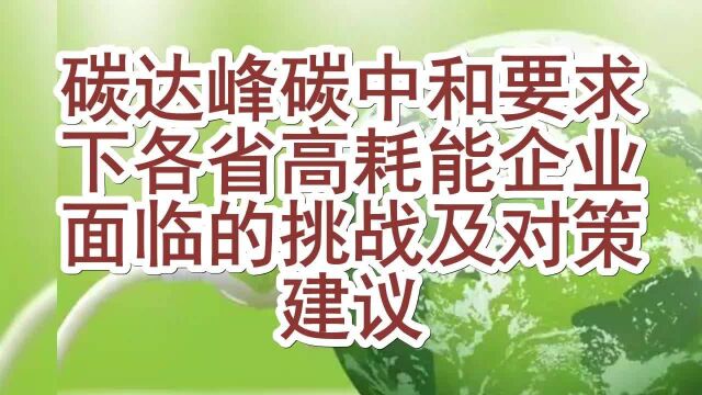 碳达峰碳中和要求下各省高耗能企业面临的挑战及对策建议