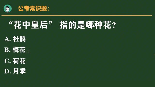 公考常识题:“花中皇后”指的是哪种花?看似简单,却有很多人错