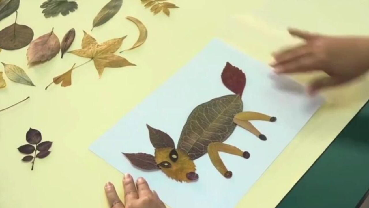 制作树叶画指导视频_腾讯视频