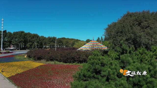 秋日私语——秋湖写天籁 花鸟意阑珊