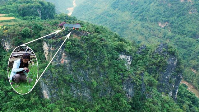 贵州25岁未婚女孩独居山顶,自建单身公寓,这种条件环境谁敢娶