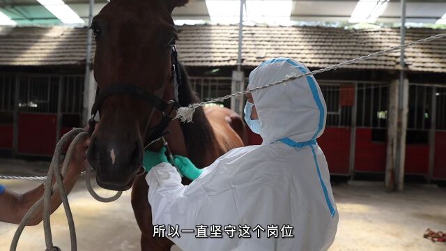 与动物做朋友,永康这位全国冠军坚守基层采样18载