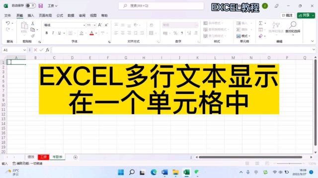 Excel多行文本显示在一个单元格中