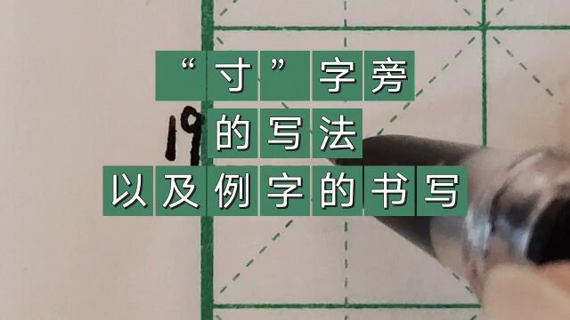 “寸”字旁的写法以及例字的书写