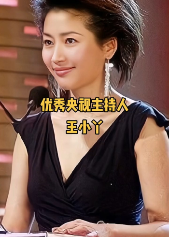 优秀央视主持人 王小丫