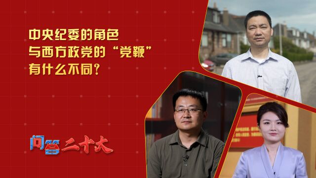 【问答二十大】中央纪委的角色与西方政党的“党鞭”有什么不同?