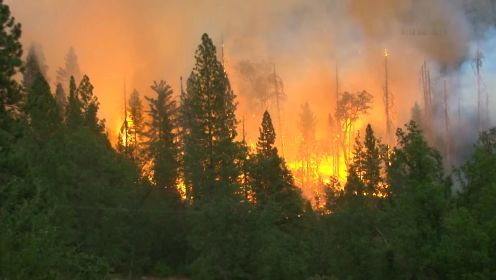 美国事故：森林大火，无法扑灭