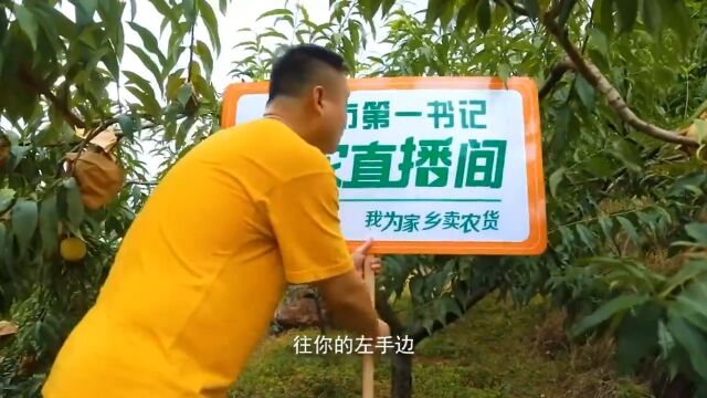 吉首:大山深处的“第一书记直播间”