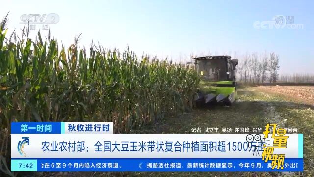 农业农村部:全国大豆玉米带状复合种植面积超1500万亩