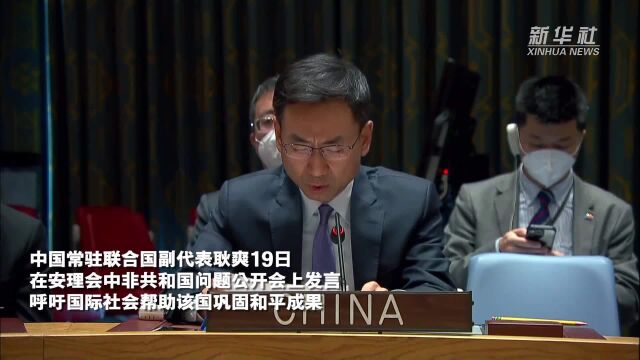 中方呼吁国际社会帮助中非共和国巩固和平成果