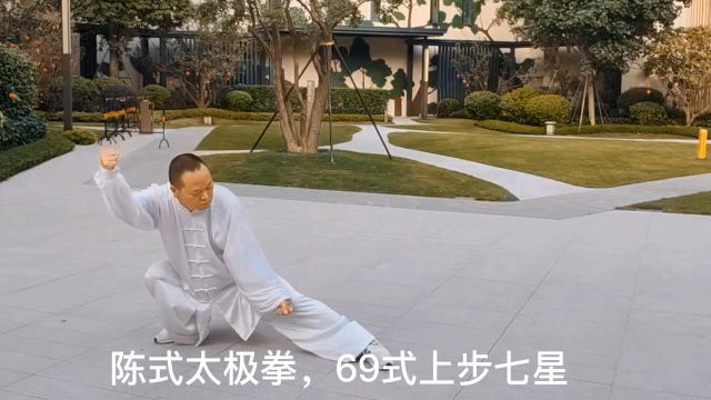 陈式太极拳,69式上步七星