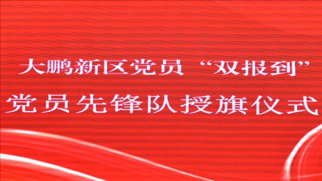 深圳市大鹏新区组织人事局举办党员“双报到”先锋队授旗仪式