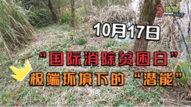 魏郡:《10月的节日》10月17日“国际消除贫困日”,人在极端环境下的潜能