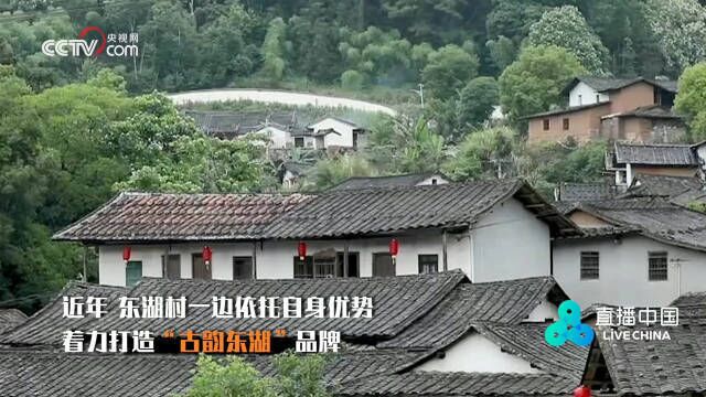 下一站乡村 东湖村:宜居宜游 景美人和