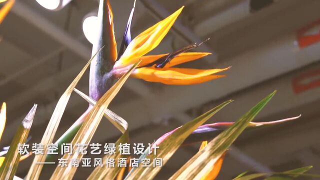 Video | 软装空间花艺绿植设计课,让每个空间赋予舒适、高级的灵魂