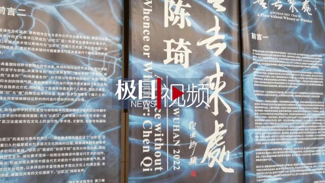 【视频】不止视觉冲击!湖北美术馆新展满墙巨幅作品抢先看