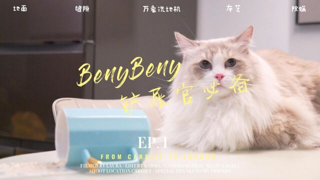 Beny万象系列洗地机:一机多用,铲屎官的必备清洁好物!