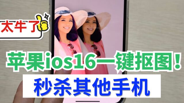 苹果手机升级ios16,隐藏的一键抠图功能太牛了 !2秒就抠出一个