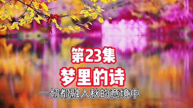 第23集:梦里的诗