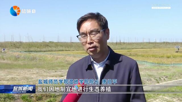 “种养一体化”首战告捷 重盐碱地改良迈上新台阶