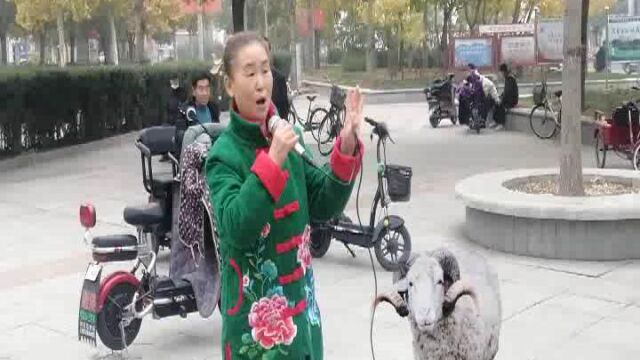 王艳梅演唱 呼伦贝尔大草原.