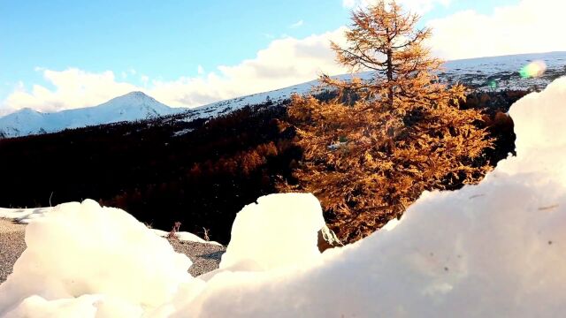 云南这些地方下雪了!弥勒天气…