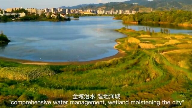 走进重庆梁平双桂湖国家湿地公园