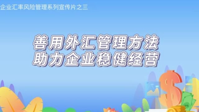 善用外汇管理方法,助力企业稳健经营