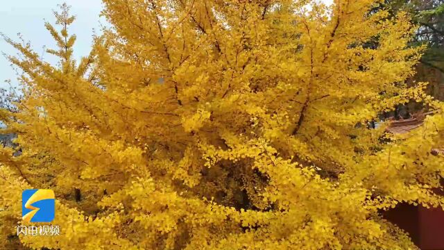 秋日沂蒙山:醉美沂蒙秋色 尽显安静祥和