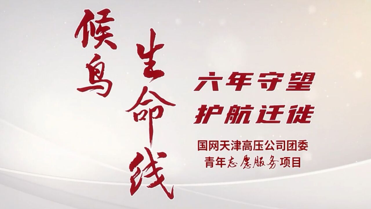 环境保护-15号-“候鸟生命线”青年志愿服务项目-字幕高清版视频_高清
