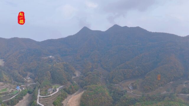 这里的风景很漂亮,大家来看看,说说看法