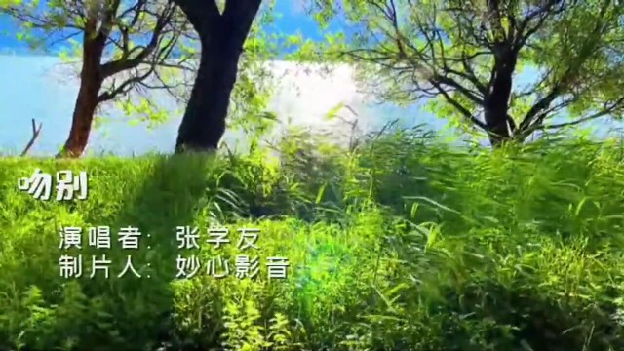 一首《吻别》多么熟悉的唱腔,当年难分难舍的爱恋再次浮现在眼前_高清1080P在线观看平台_腾讯视频