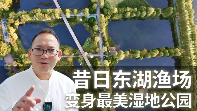 【寻城记3】东湖渔场,由“东湖之父”提议建设,今变“最美湿地公园”?