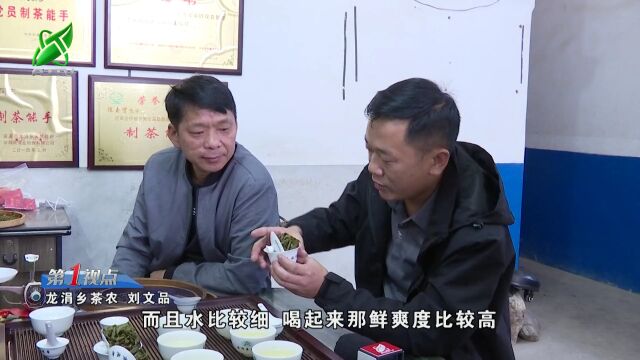 【第一视点】茶园管理好 茶农喜增收