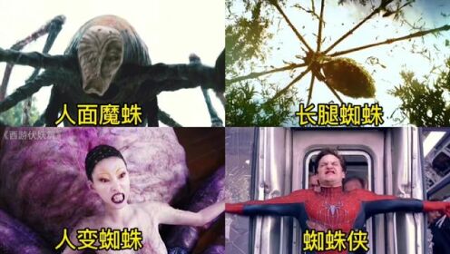 盘点这四个不同类型的蜘蛛，你觉得哪个更厉害？人面魔蛛好凶猛#蜘蛛 #电影剪辑 #电影盘点